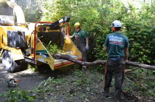 tree services Creve Coeur